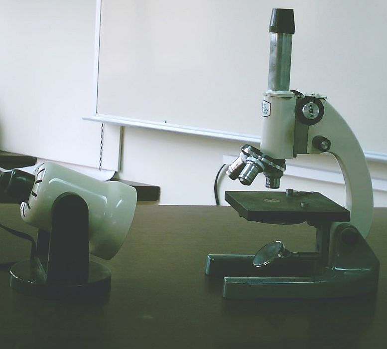 microscope and lamp